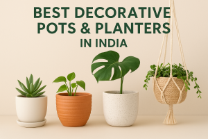 Decorative Pots & Planters