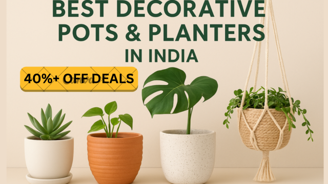Decorative Pots & Planters