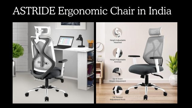 Work from home posture support chair